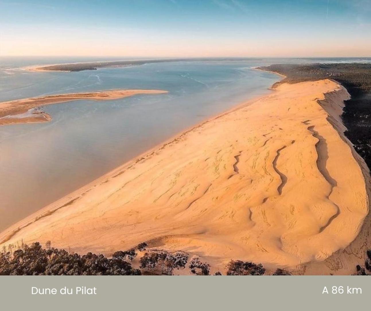 Le Clos Fleuri Proche De Bordeaux Saint-Sulpice-et-Cameyrac Exteriör bild